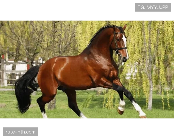 富里睡醒发现自家马场又多了匹纯血马，这月第几回了？